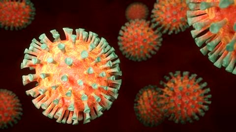 Bild eines Corona-Virus